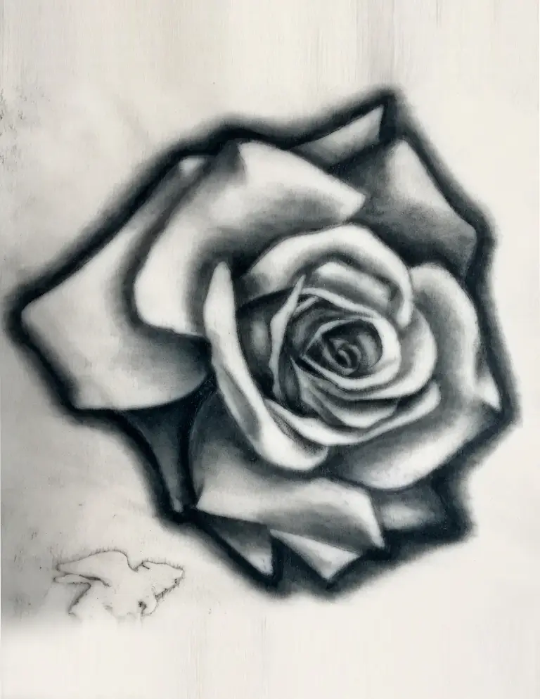 25